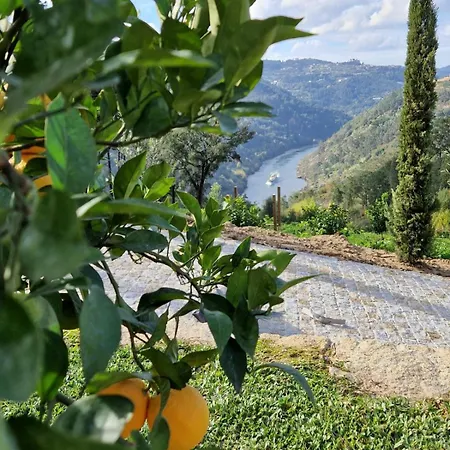 Javardo - Family House - Douro