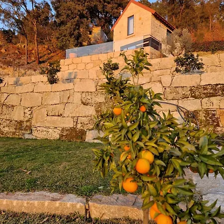 Javardo - Family House - Douro