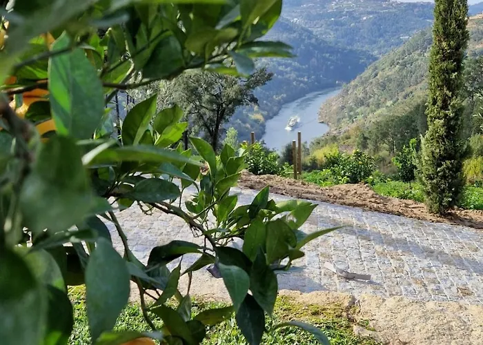 Javardo - Family House - Douro